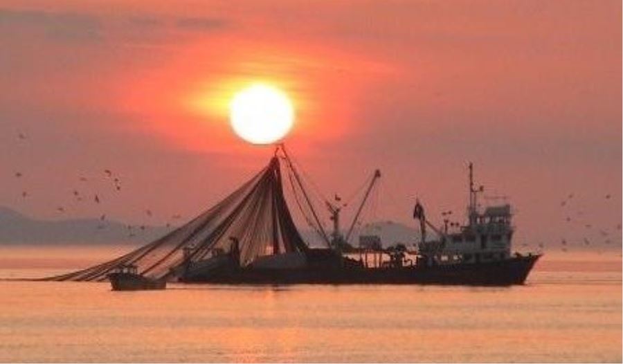 Marmara’da ışıkla avlanma yasağı doğru