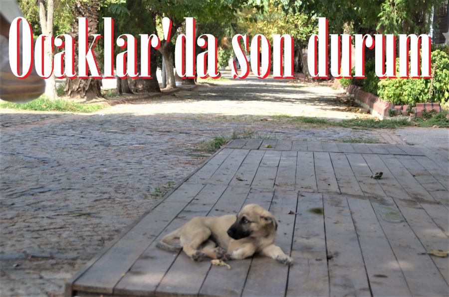 Sıcaklık çok, ama insan yok!...