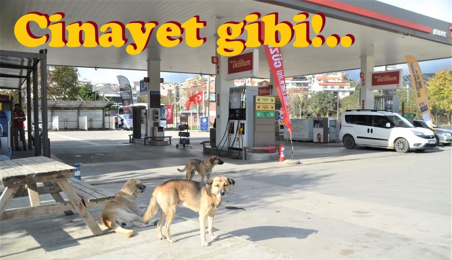 Ezdi geçti