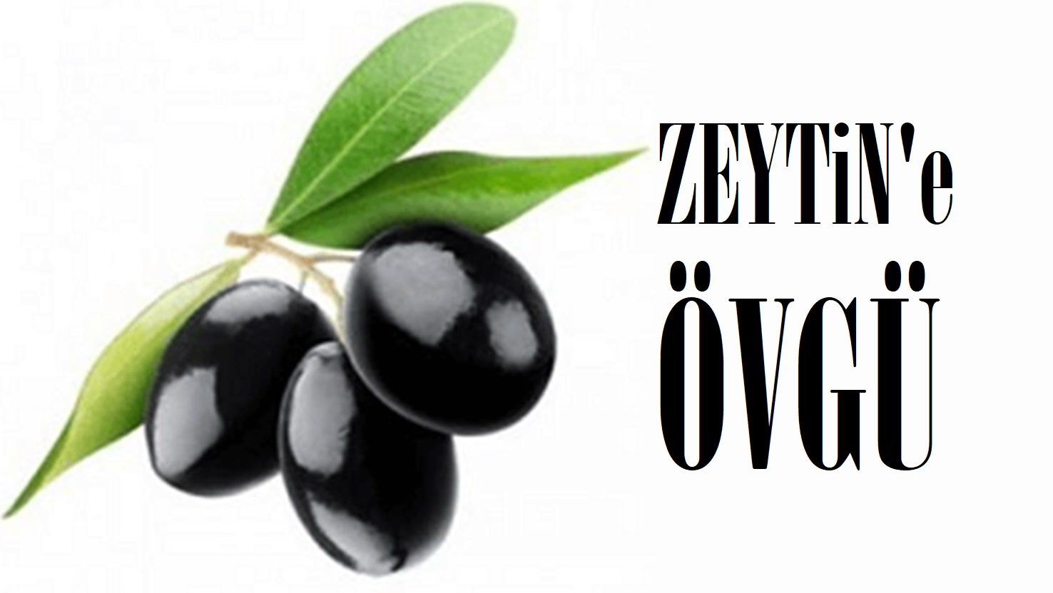Erdek Belediyesi’nden zeytine övgü