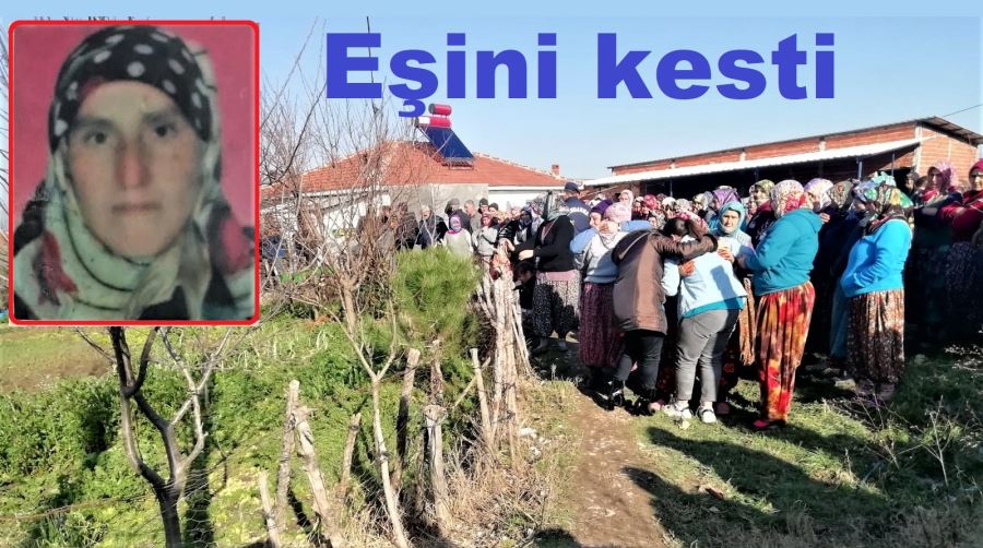 Akıl hastası adam eşini kesti