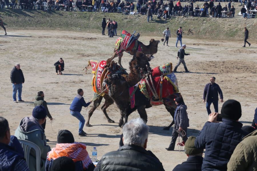  DEVE GÜREŞLERİ FESTİVALİ YAPILDI 