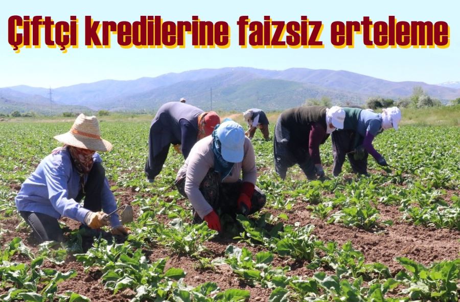 Çiftçi kredilerine faizsiz erteleme