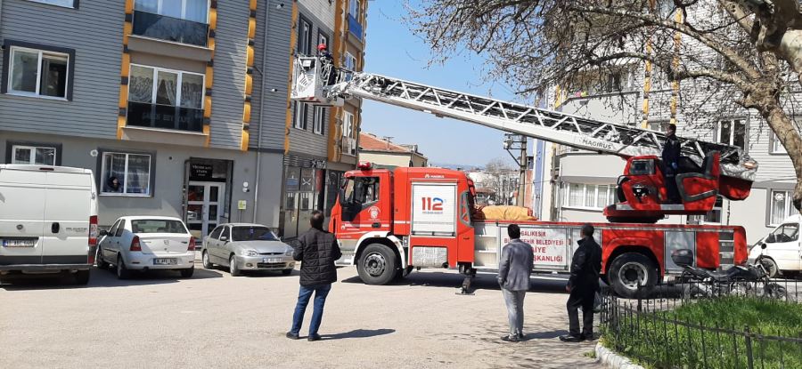 Baharı bekleyen Kumru, cama sıkıştı