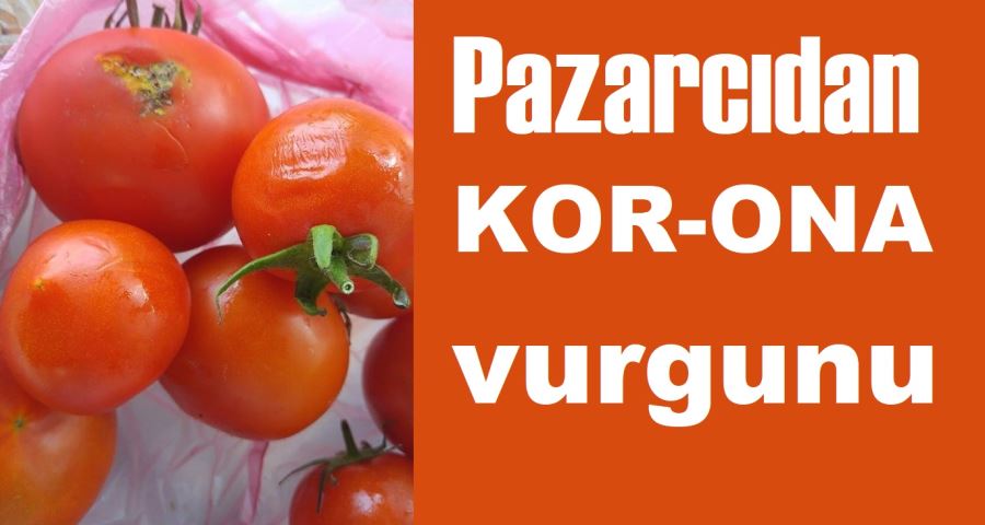 Pazarcı KOR-ONA