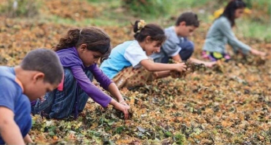 Türkiye’de çocuk işçiliği ile mücadelenin 20 yılı