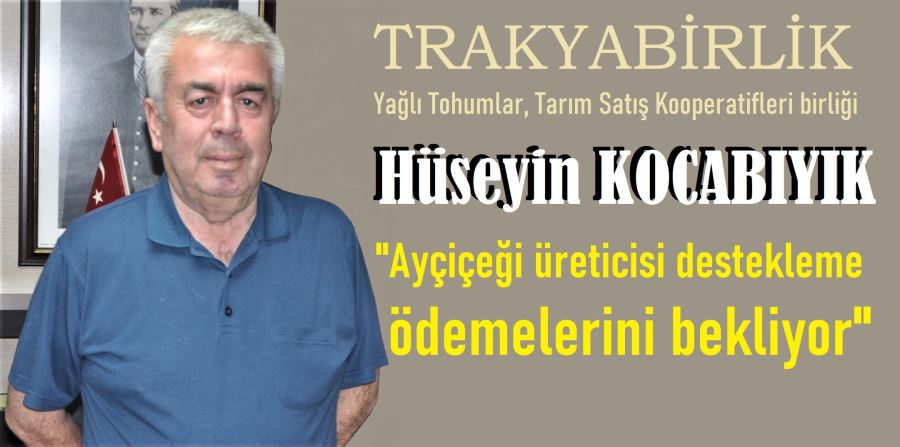 Ayçiçeği üreticisi destekleme bedellerini bekliyor