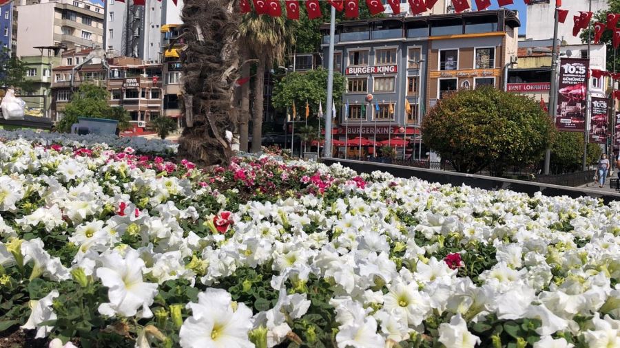 Her yer çiçeklendi