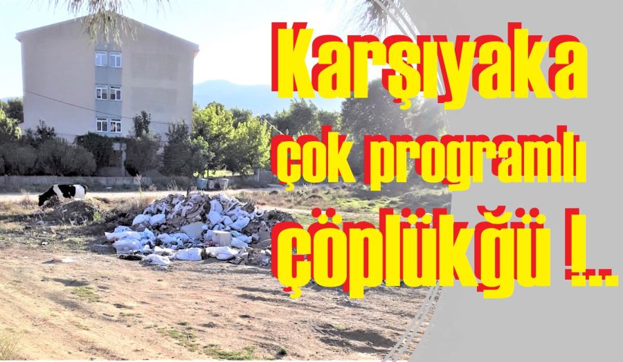 Çok programlı lisenin çevre mücadelesi
