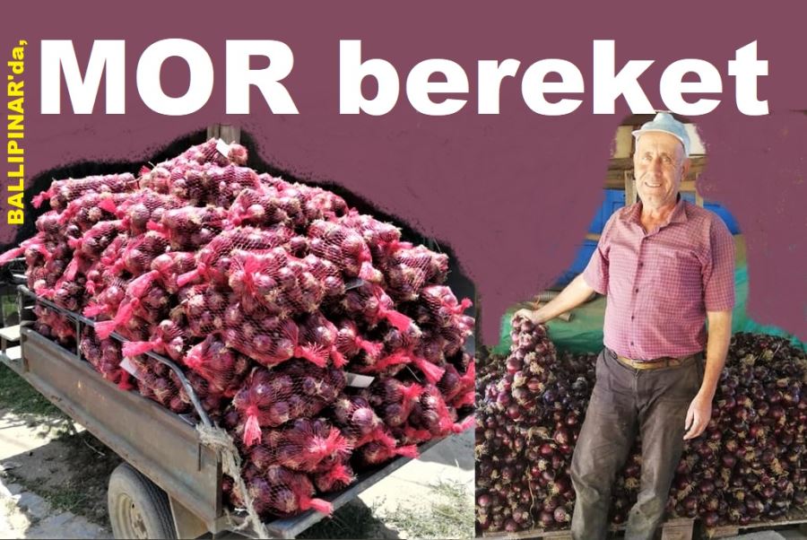 Balık Soğan
