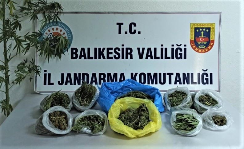 Jandarma esrar yakaladı