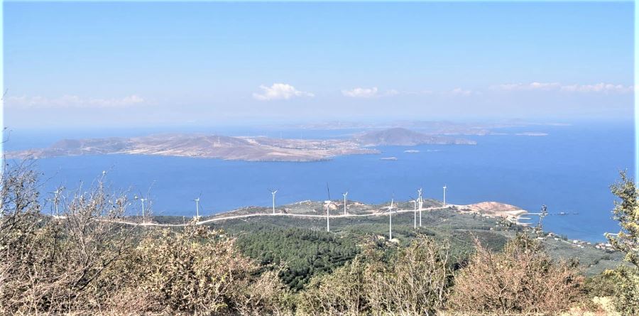 Erdek’te şap aşılaması sürüyor