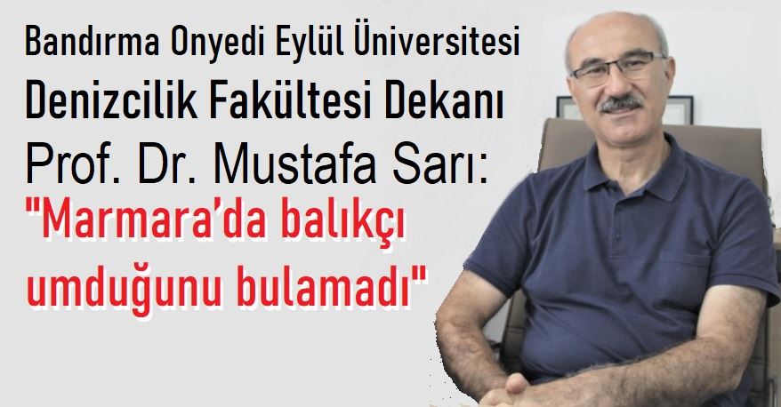 Dekan Sarı,