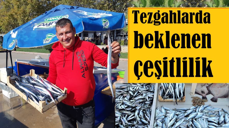 Duble, Zargana çıktı