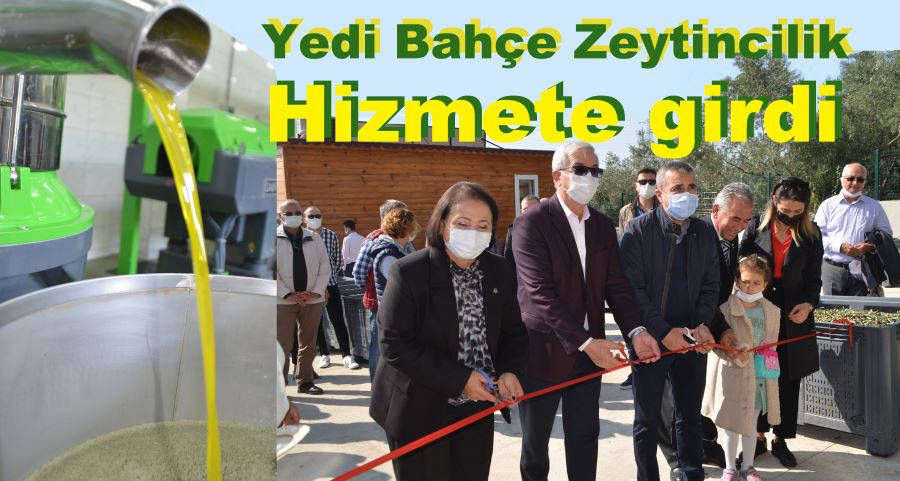 Yedi Bahçe Zeytincilik, Yağ işleme tesisleri hizmete girdi.