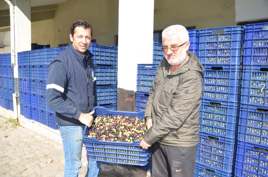 Tüccar, Zeytin pazarında yerini aldı.