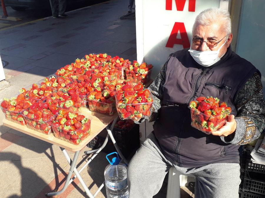 ÇANAKKALE ÇİLEKLERİ BANDIRMA’DA