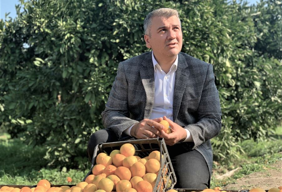 Zeytin silkeledi, Mandalina topladı.