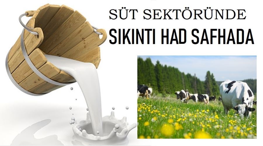 “SÜT SEKTÖRÜ SIKINTI İÇİNDE”