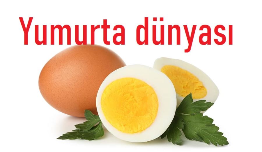 Bandırma’da alternatif üretim