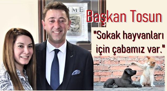 Barınak kapasitesi arttırıldı.