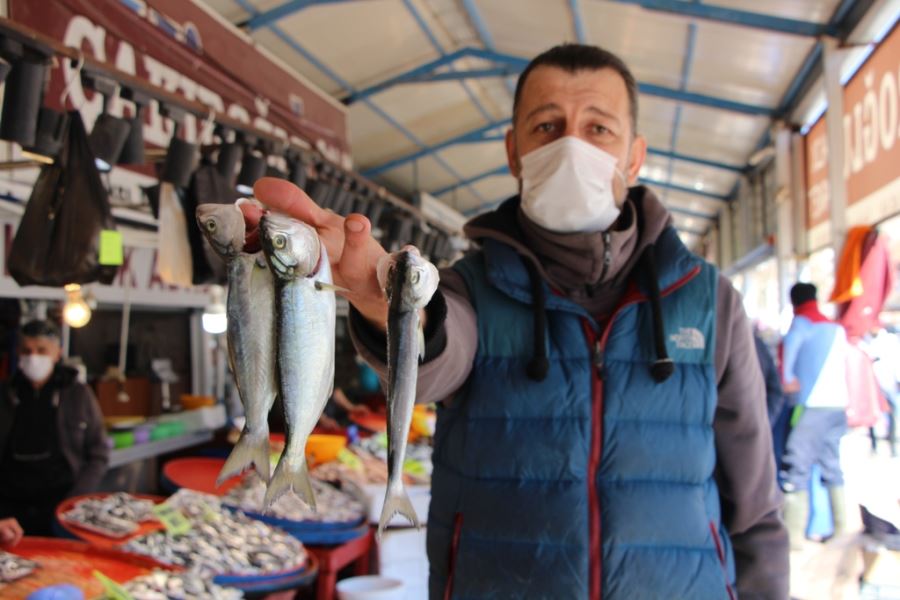 Tezgahlar hamsi, çinekop, istavrit ile süslendi.