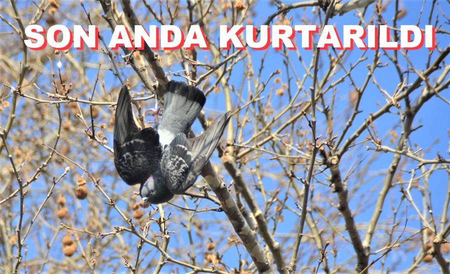 Hayatını İtfaiye kurtardı