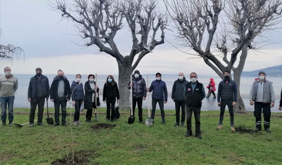 DEVA’dan 7 kadın için 7 fidan 