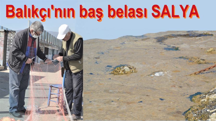 Balıkçıların “salya” isyanı!