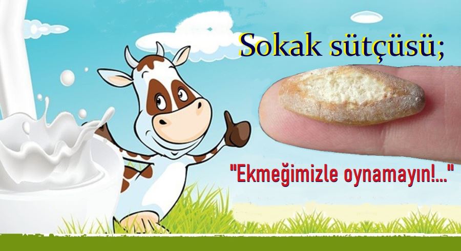 Süt