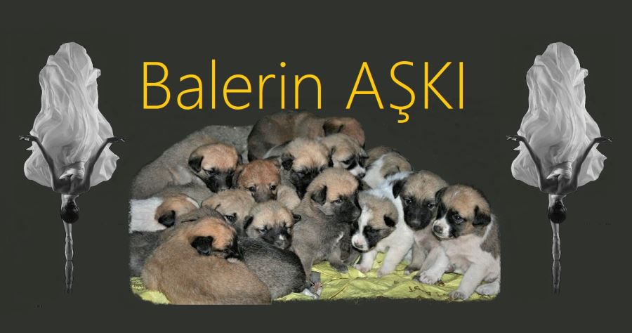 Onların 
