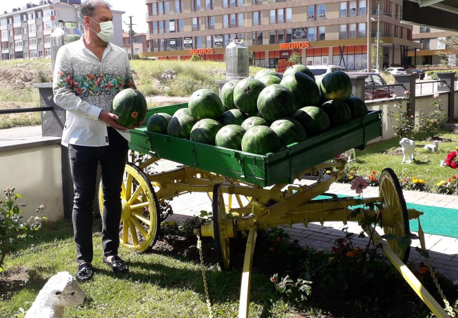 AT ARABASI ZİRVEYİ GÖRDÜ