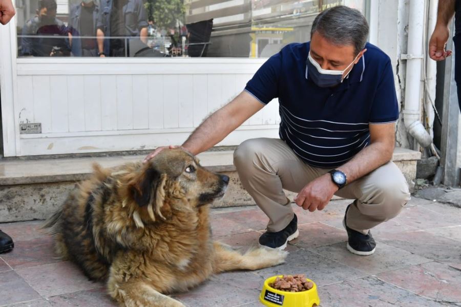 Vali Şıldak Edremit’te 