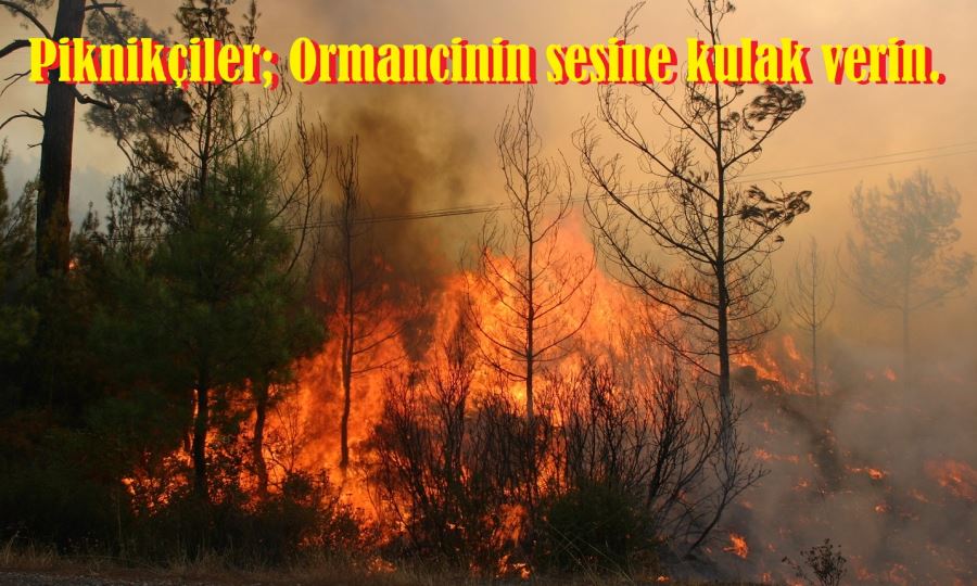 Orman Genel Müdürlüğü Uyardı