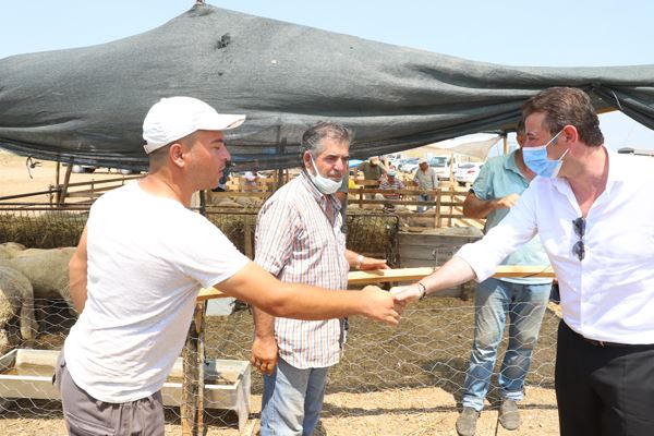 BAŞKAN KURBAN PAZARINI ZİYARET ETTİ