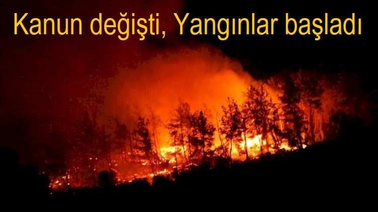 KANUN DEĞİŞTİ ORMAN YANGINLARI BAŞLADI