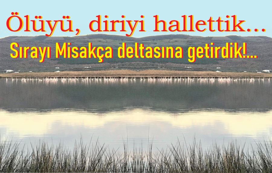 Sıra “Filamingo Deltası