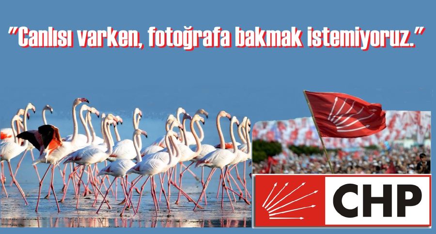 CHP Flamingo deltasında