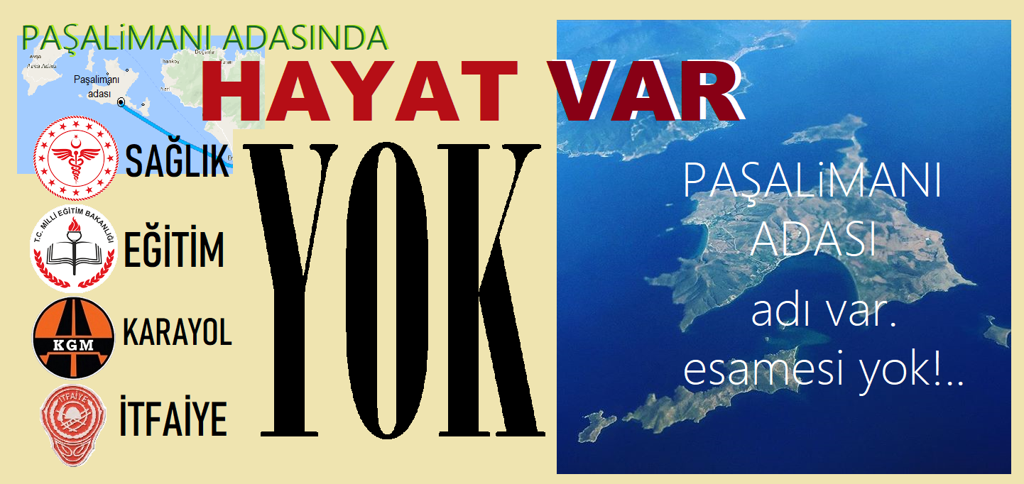 Paşalimanı Adası, dert yuvası!