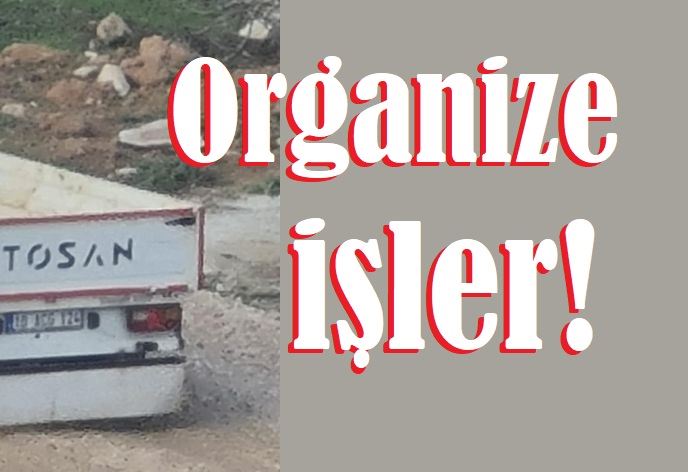 Organize işler!...