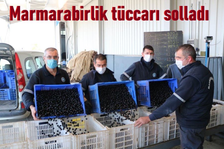 Marmarabirlik