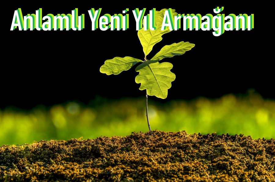 TEMA Vakfı: En Anlamlı Yeni Yıl Hediyesi Fidan Bağışı   