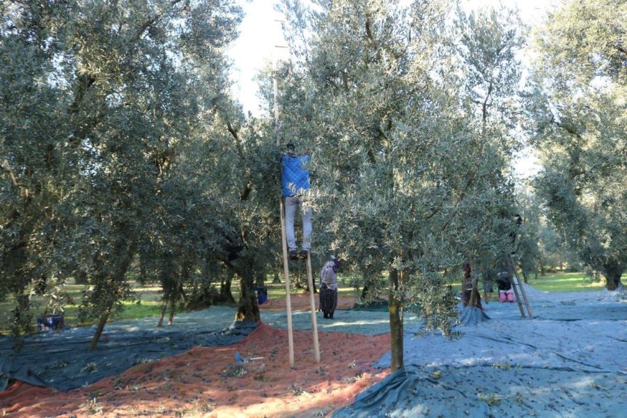 TOKİ’den kötü haber