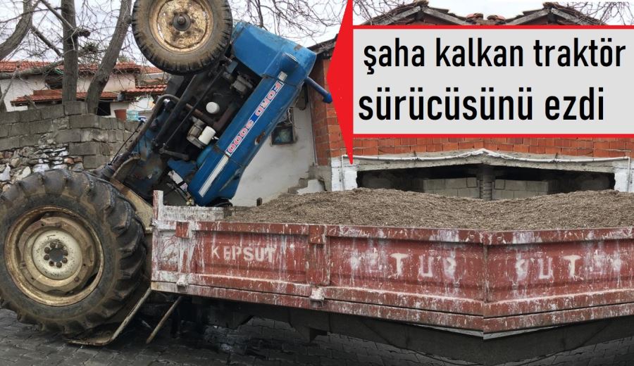 Şaha kalkan traktörün altında ezildi.