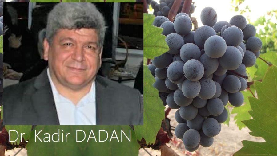 Dr. Dadan, “Adakarası” girişiminden memnun