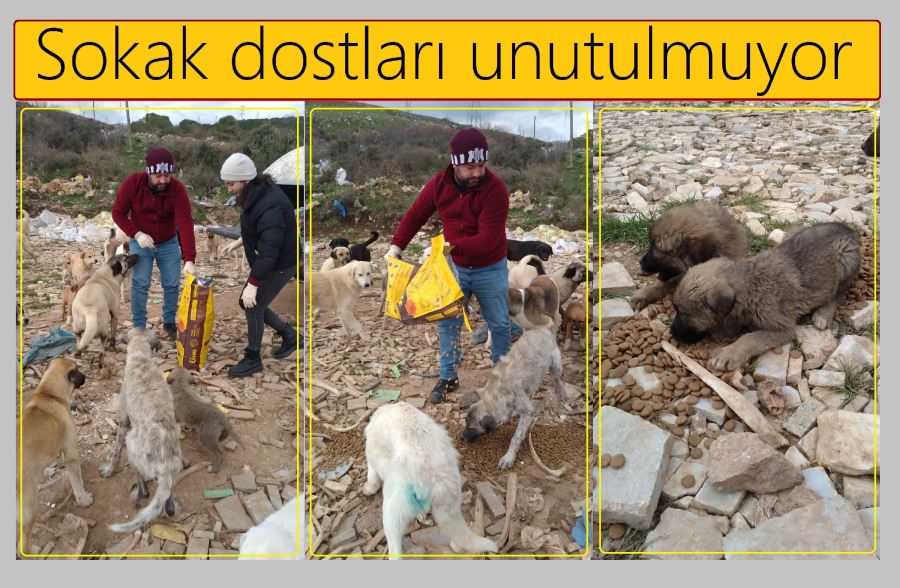 Üniversite destekli şefkat projesi