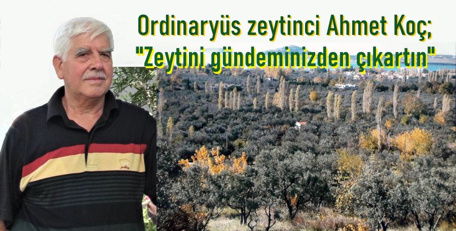 KOÇ, “ZEYTİN AĞACI OYUNCAK DEĞİL!”