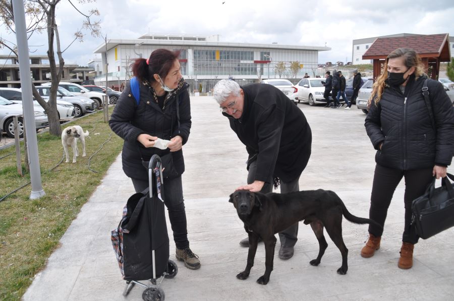 BANÜ’deki “canlar” koruma altında