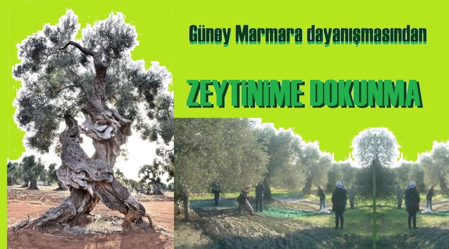 Güney Marmara Dayanışması düzenliyor