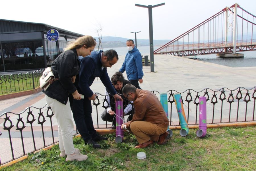 Sahipsiz hayvanlar için ıslanmaz mama kapları oluşturuldu